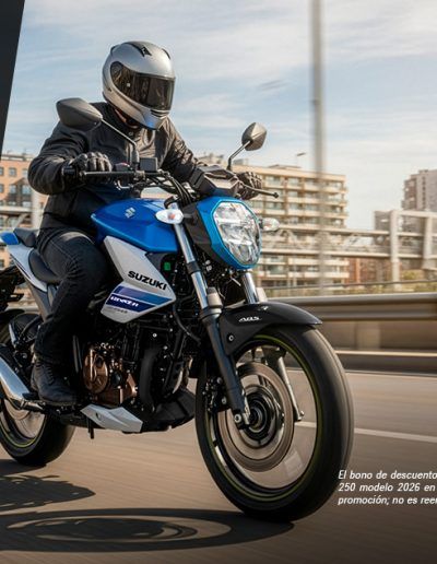 Promo Banner GIXXER 250