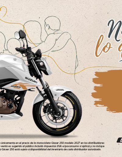 Banner Web GIXXER 250 1280X633 0